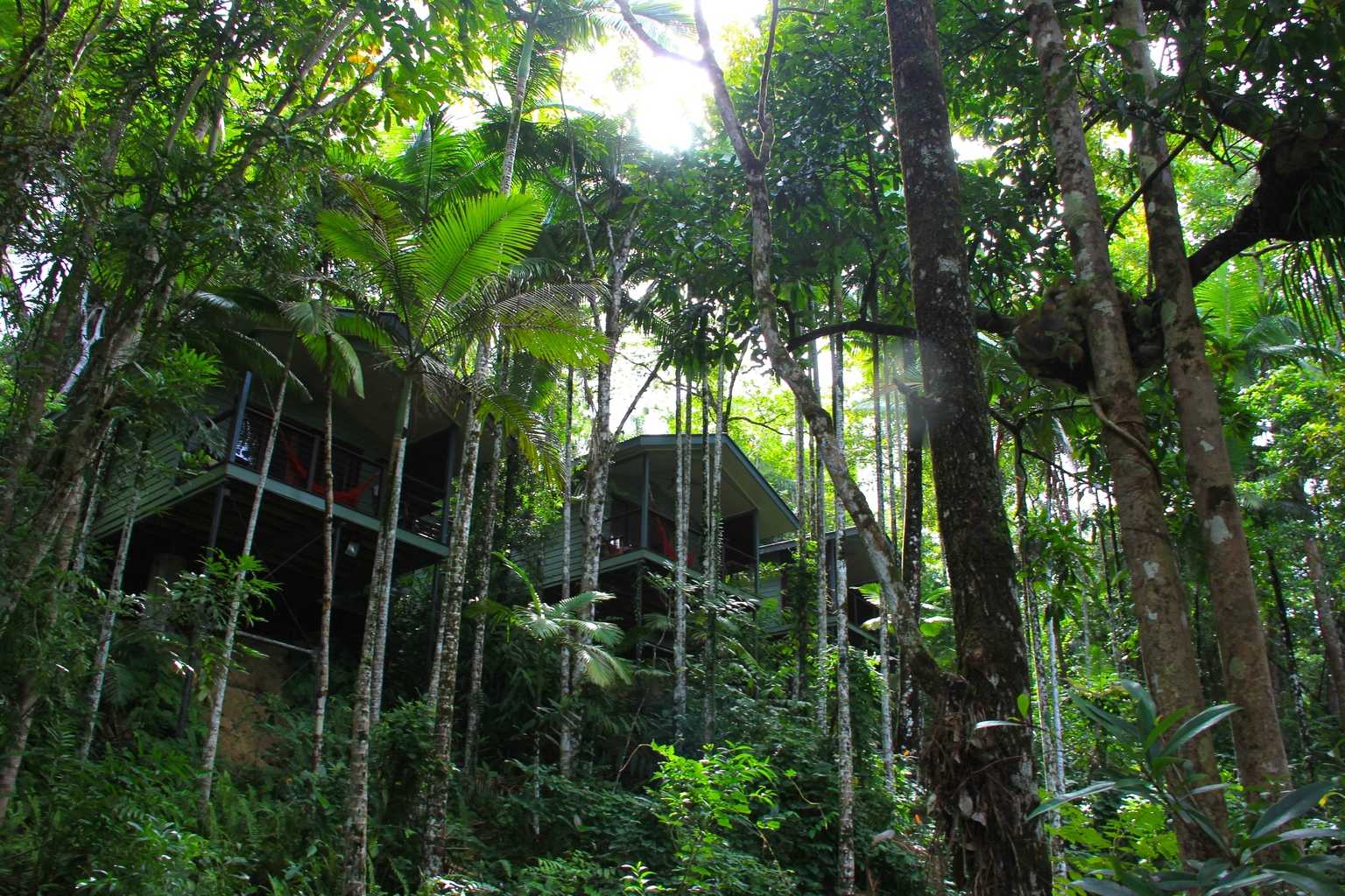 Qamea Honeymoon Bure Exterior