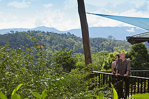 Rose Gums Atherton Tablelands Australia