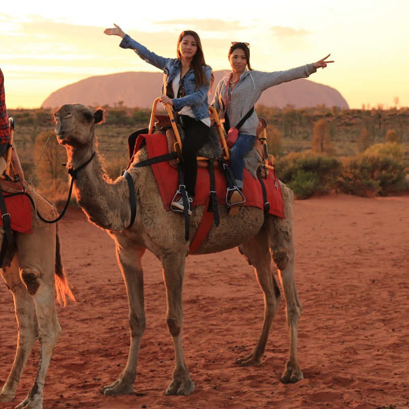 camel safari uluru