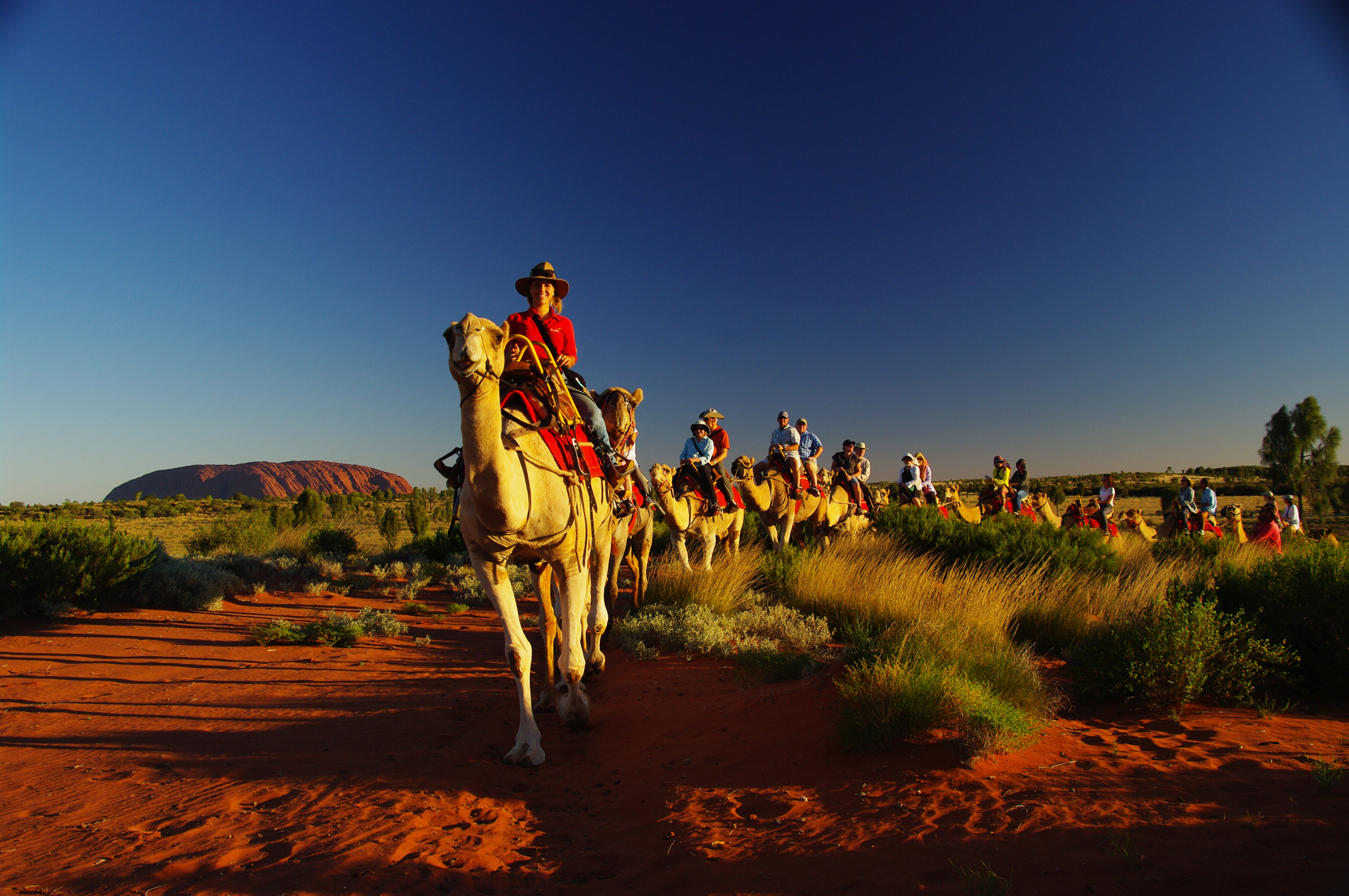 camel safari uluru