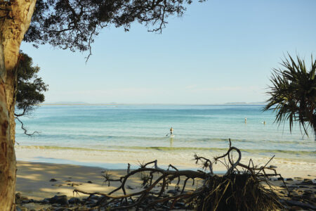 Noosa National Park Noosa National Park, Noosa, QLD Australia