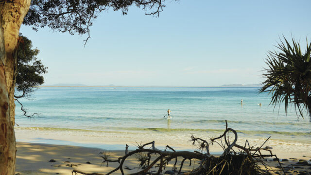 Noosa National Park Noosa National Park, Noosa, QLD Australia