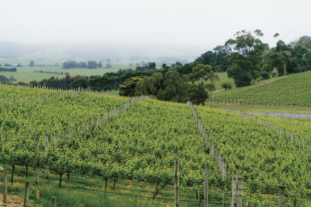 Balgownie Estate Balgownie Estate, Yarra Valley, Australia