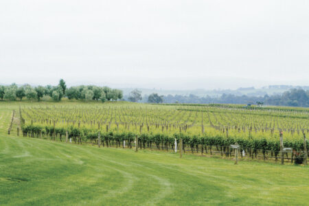 Domaine Chandon Vineyard Domaine Chandon Vineyard, Yarra Valley, Australia
