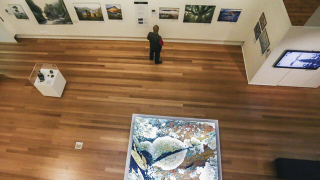 Queen Victoria Museum and Art Gallery Queen Victoria Museum and Art Gallery Launceston, TAS Australia