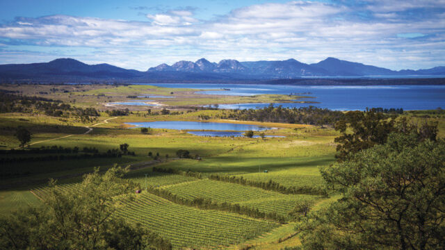 Freycinet Vineyard Freycinet Vineyard overlooks the Freycinet National Park, TAS Australia