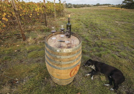 Winery, Kangaroo Island Winery, Kangaroo Island, SA Australia