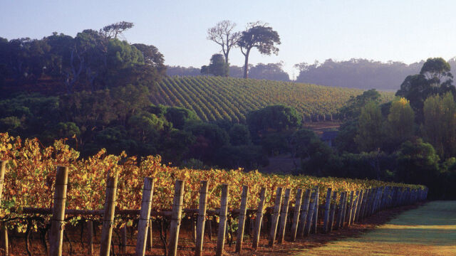 Winery, Margaret River, Cape Lodge Winery, Margaret River, Cape Lodge, Luxury Lodges of Australia, Western Australia