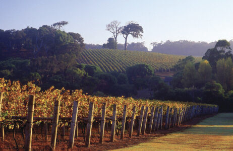 Winery, Margaret River, Cape Lodge Winery, Margaret River, Cape Lodge, Luxury Lodges of Australia, Western Australia