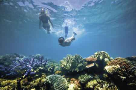 Snorkeling, Lizard Island, Great Barrier Reef, -Luxury Lodges of Australia Snorkeling, Lizard Island, Great Barrier Reef, -Luxury Lodges of Australia, QLD