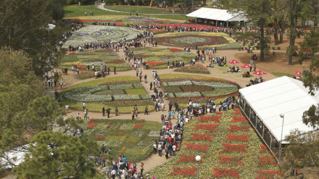 Floriade Floriade, Canberra, ACT Australia