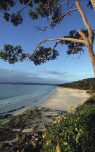 Hyams Beach, Paperbark Camp Paperbark Camp, Jervis Bay, Australia