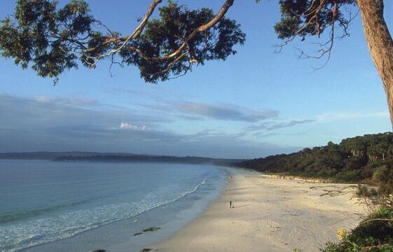 Hyams Beach, Paperbark Camp Paperbark Camp, Jervis Bay, Australia