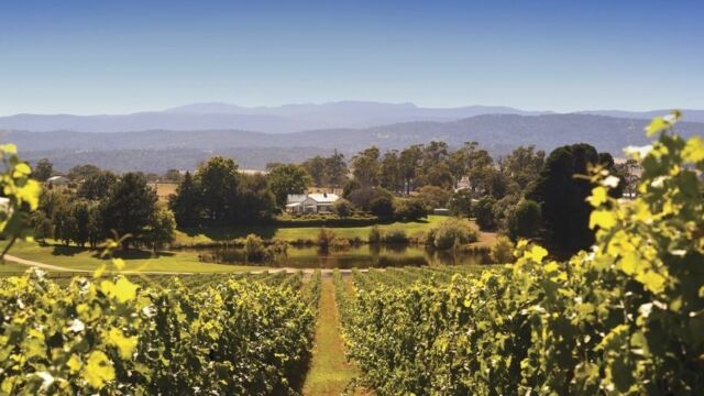 Josef Chromy Wines Homestead. Site of Cellar Door and Restaurant Josef Chromy Wines Homestead. Launceston, TAS Australia