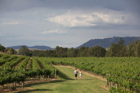 Wyndham Estate, Ultimate Winery Experiences of Australia Wyndham Estate, NSW, Hunter Valley Australia
