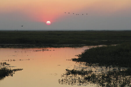 Davidson’s Arnhemland Safaris, Mt Borradaile Davidson’s Arnhemland Safaris, Mt Borradaile, NT Australia