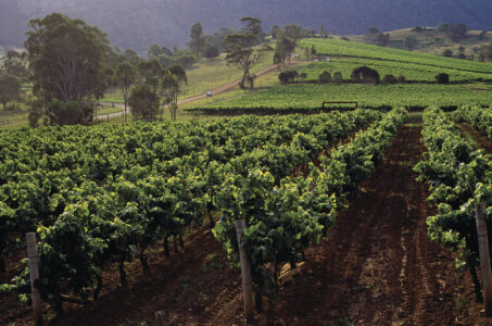 Hunter Valley Winery Winery, Hunter Valley Australia