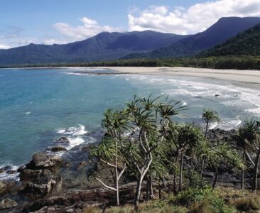 Cape Tribution, Daintree National Park Cape Tribution, Daintree National Park, QLD Australia