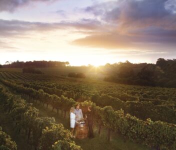 Leeuwin Estate Winery in the Margaret River region Leeuwin Estate Winery in the Margaret River region Western Australia