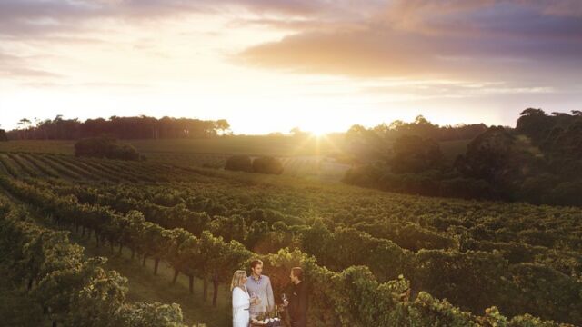 Leeuwin Estate Winery in the Margaret River region Leeuwin Estate Winery in the Margaret River region Western Australia