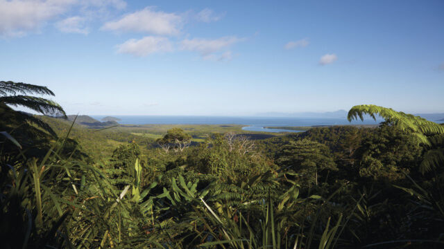 Mount Alexandra Lookout, Daintree National Park Mount Alexandra Lookout, Daintree National Park, QLD Australia