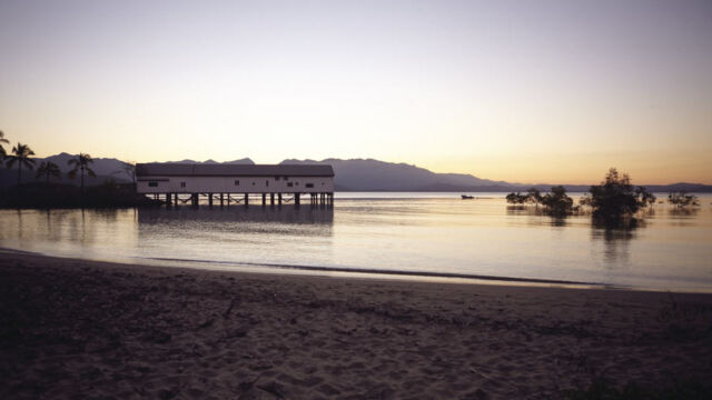 Daintree National Park, Port Douglas Daintree National Park, Port Douglas, QLD Australia