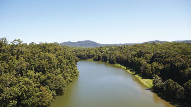 Skyrail Rainforest Cableway Skyrail Rainforest Cableway, Cairns, QLD Australia