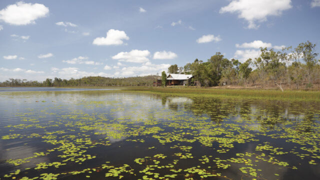 Mareeba Wetlands, Atherton Tableland Mareeba Wetlands, Atherton Tableland, QLD Australia