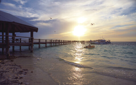 Heron Island, Great Barrier Reef Heron Island, Great Barrier Reef, QLD Australia