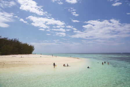 Heron Island, Great Barrier Reef Heron Island, Great Barrier Reef, QLD Australia
