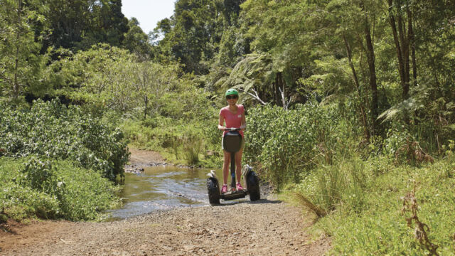 Lamington National Park
