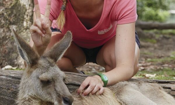 Lone Pine Koala Sanctuary Lone Pine Koala Sanctuary, Brisbane