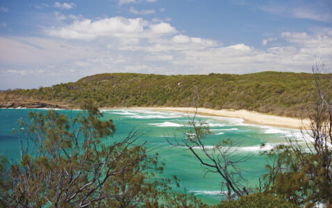 Noosa Noosa, QLD Australia