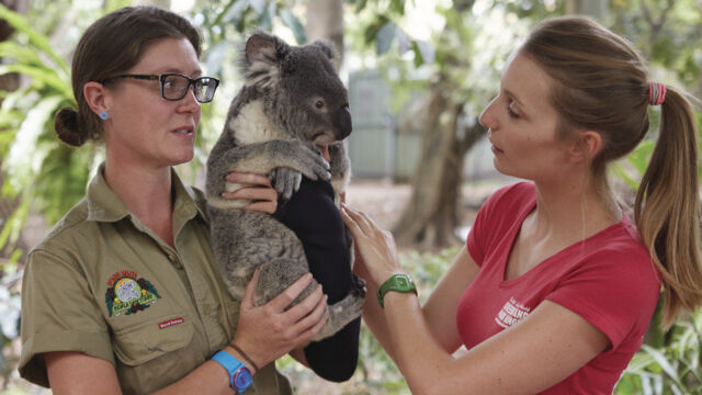Lone Pine Koala Sanctuary, Brisbane Lone Pine Koala Sanctuary, Brisbane, QLD