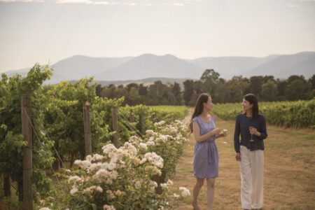 Domaine Chandon Winery Domaine Chandon Winery, Yarra Valley Australia