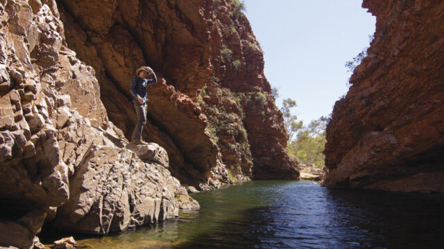 Larapinta Trail Larapinta Trail in the West MacDonnell Ranges National Park Australia