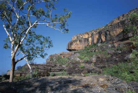 Obiri Rock, Kakadu National Park Obiri Rock, Kakadu National Park, NT Australia