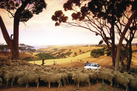 Self Drive, Kangaroo Island Self Drive, Kangaroo Island Australia