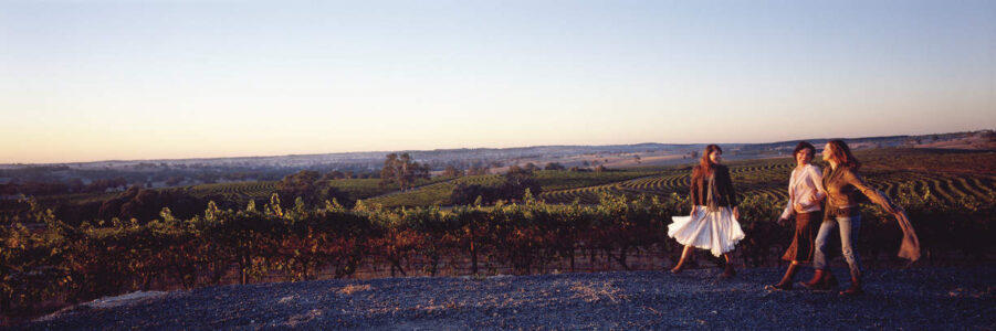 Barossa Valley Barossa Valley, SA Australia