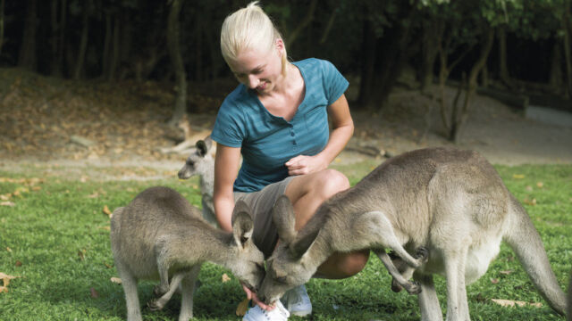 Rainforest Habitat Wildlife Sanctuary Far North; Port Douglas; Wildlife Parks; Rainforest Habitat Wildlife Sanctuary , Australia