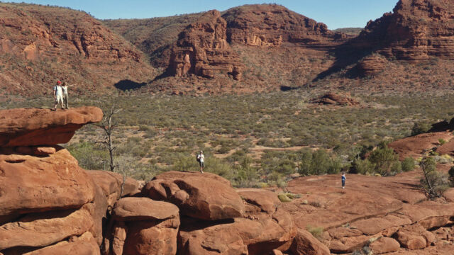 Palm Valley, Red Center Way Palm Valley, Red Center Way, Alice Springs, Australia