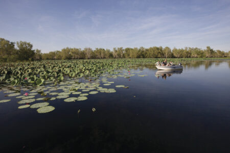 Yellow Water Billabong, Kakadu National Park; Yellow Water Billabong, Kakadu National Park; NT Australia