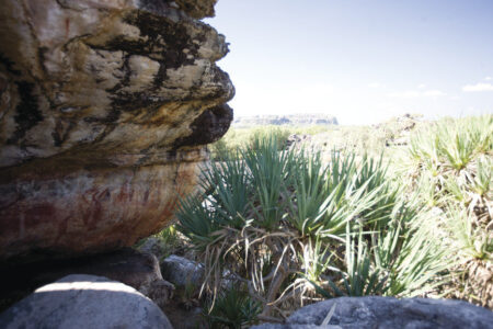 Rock art, Mt Borradaile; Arnhemland Rock art, Mt Borradaile; Arnhemland, NT Aurstralia