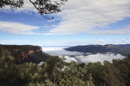Blue Mountains Blue Mountains, New South Wales Australia