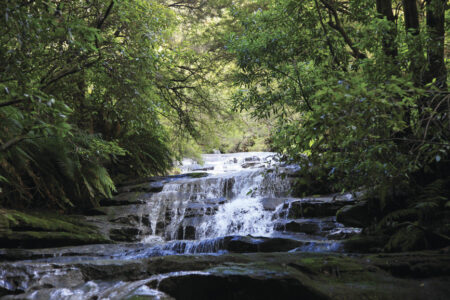 Leura Cascades Leura Cascades Blue Mountains Australia