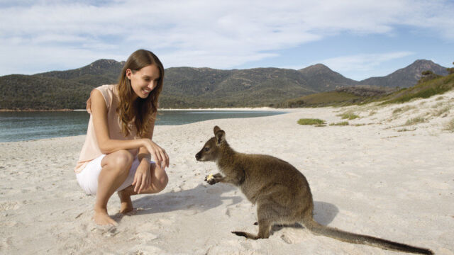 Wineglass Bay Beach
Mt. Graham and Mt Freycinet Wineglass Bay Beach Mt. Graham and Mt Freycinet Australia