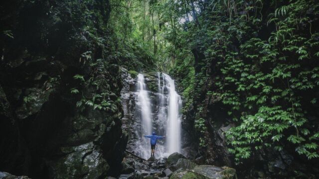 Box Log Falls, Lamington National Park Box Log Falls, Lamington National Park, QLD