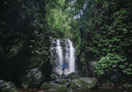 Box Log Falls, Lamington National Park Box Log Falls, Lamington National Park, QLD