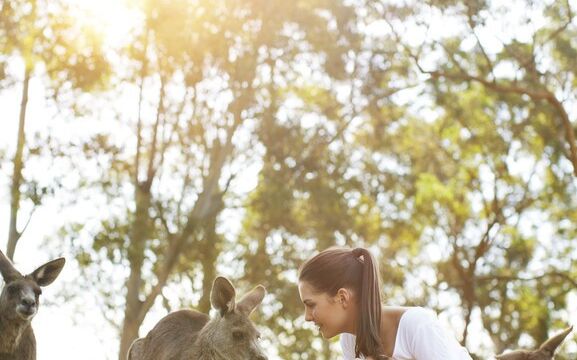 Lone Pine Koala Sanctuary, Brisbane, QLD Lone Pine Koala Sanctuary, Brisbane, QLD