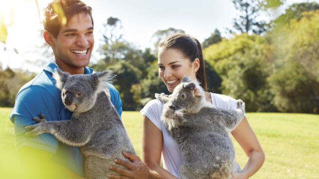 Lone Pine Koala Sanctuary, Brisbane Lone Pine Koala Sanctuary, Brisbane